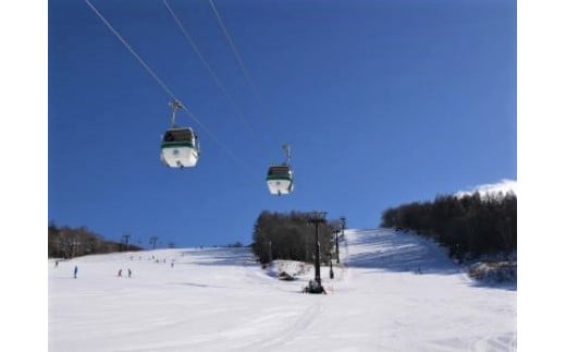 白樺高原国際スキー場・しらかば２in１スキー場大人共通リフト券 